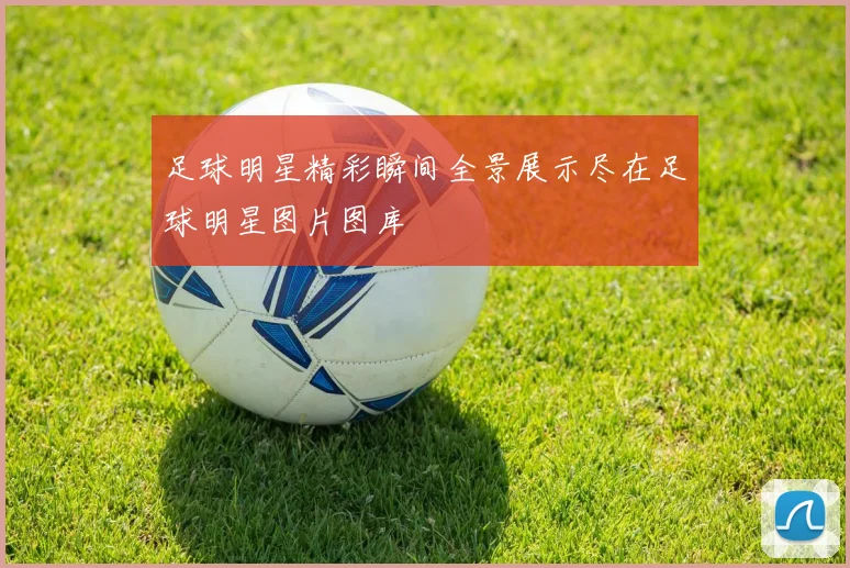 足球明星精彩瞬间全景展示尽在足球明星图片图库