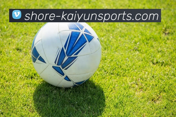 开云集团APP 封面图